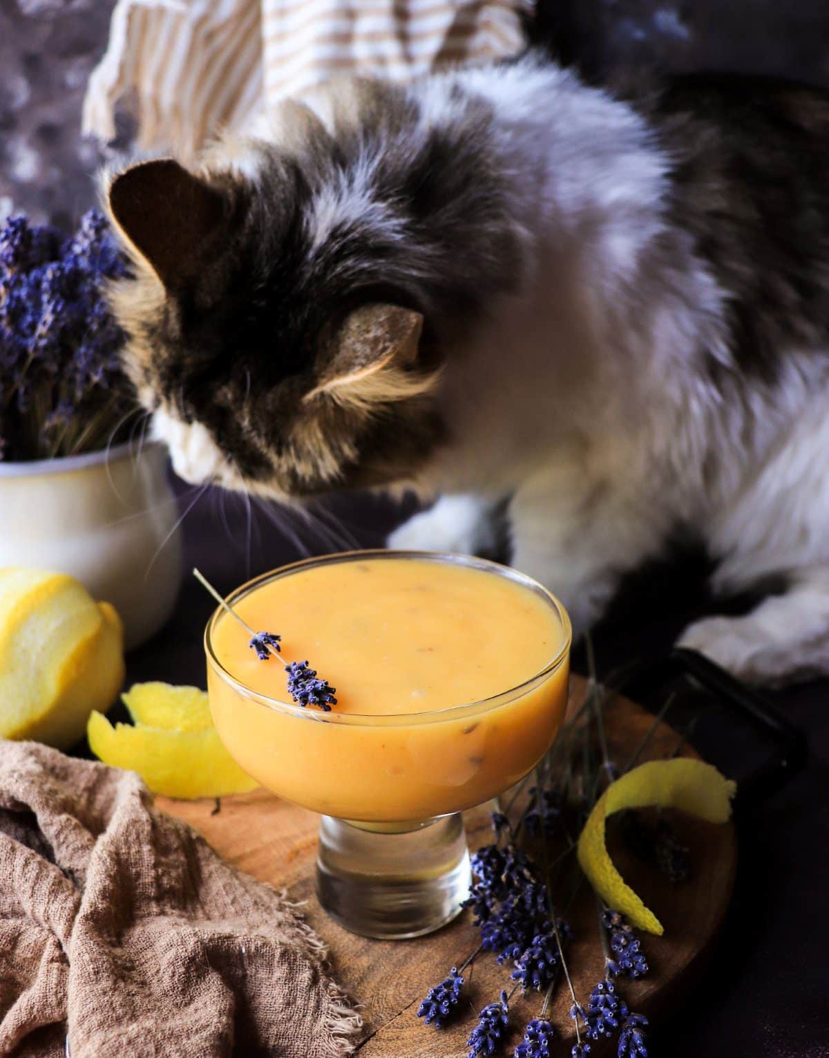 Lavender Lemon Curd in a glass bowl with lemon peel and lavender sprigs as a curious cat leans in to smell the curd.