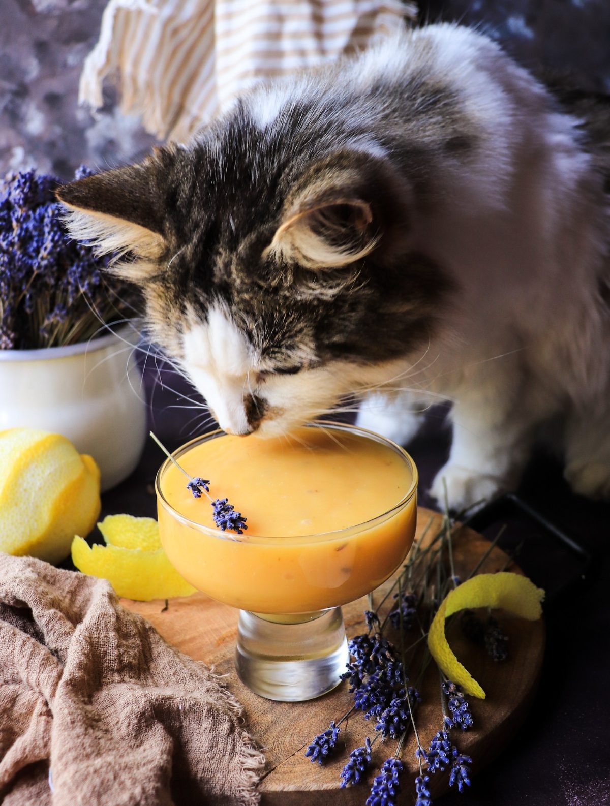 Lavender Lemon Curd in a glass bowl with lemon peel and lavender sprigs as a curious cat leans in to smell the curd.