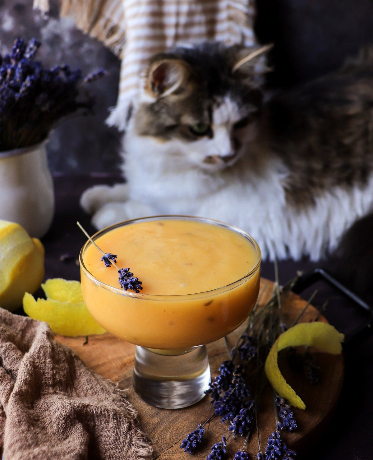 Lavender Lemon Curd in a glass bowl with lemon peel and lavender sprigs as a curious cat leans in to smell the curd.