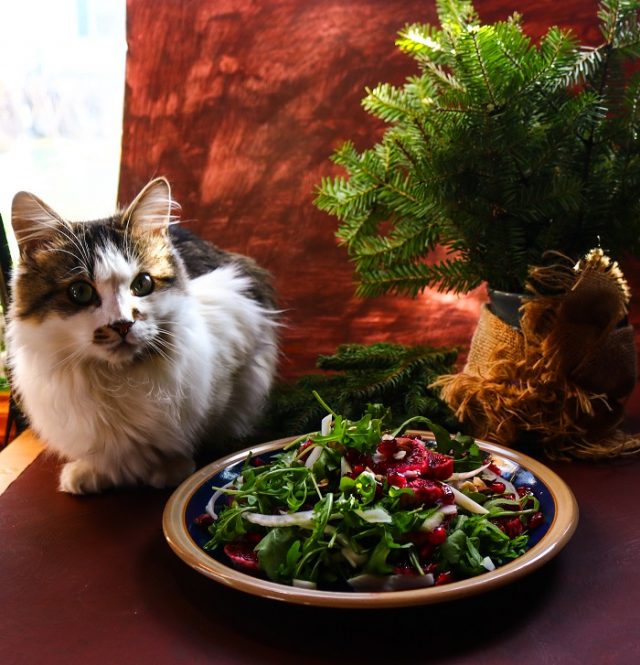 Blood Orange Fennel Pomegranate Salad