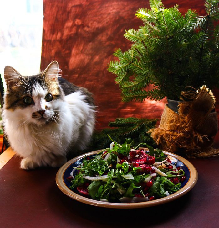 Blood Orange Fennel Pomegranate Salad