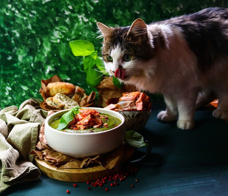 Broccoli Trout Soup