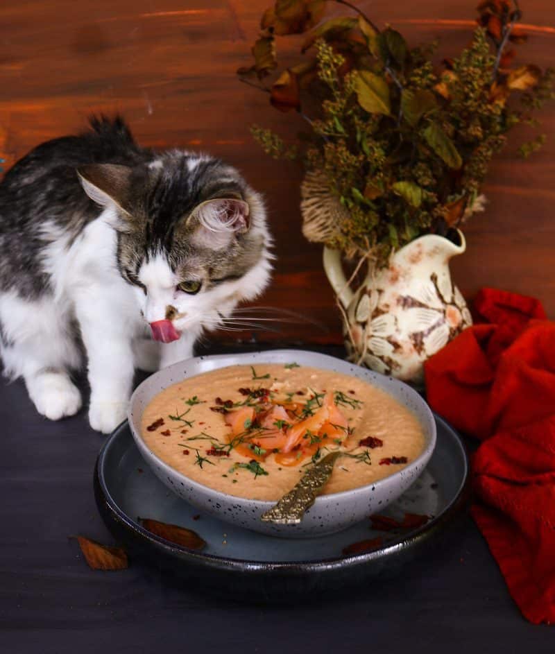 Creamy Salmon Soup