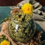 Dandelion Pesto