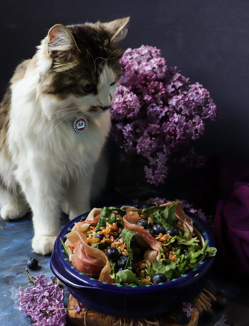 Farro Blueberry Prosciutto Salad