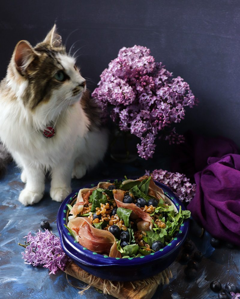 Farro Blueberry Prosciutto Salad