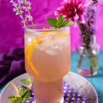 Lavender Orange Gin Cocktail
