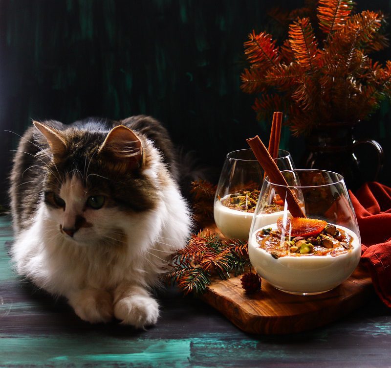 No bake persimmon dessert served in glass cups with pistachios and cinnamon sticks, styled with autumn decor and a cat beside the dessert.