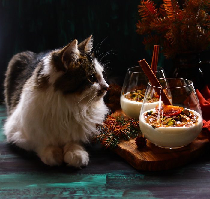 No bake persimmon dessert served in glass cups with pistachios and cinnamon sticks, styled with autumn decor and a cat beside the dessert.