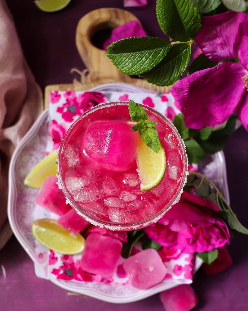 Rose Martini Vermouth Cocktail