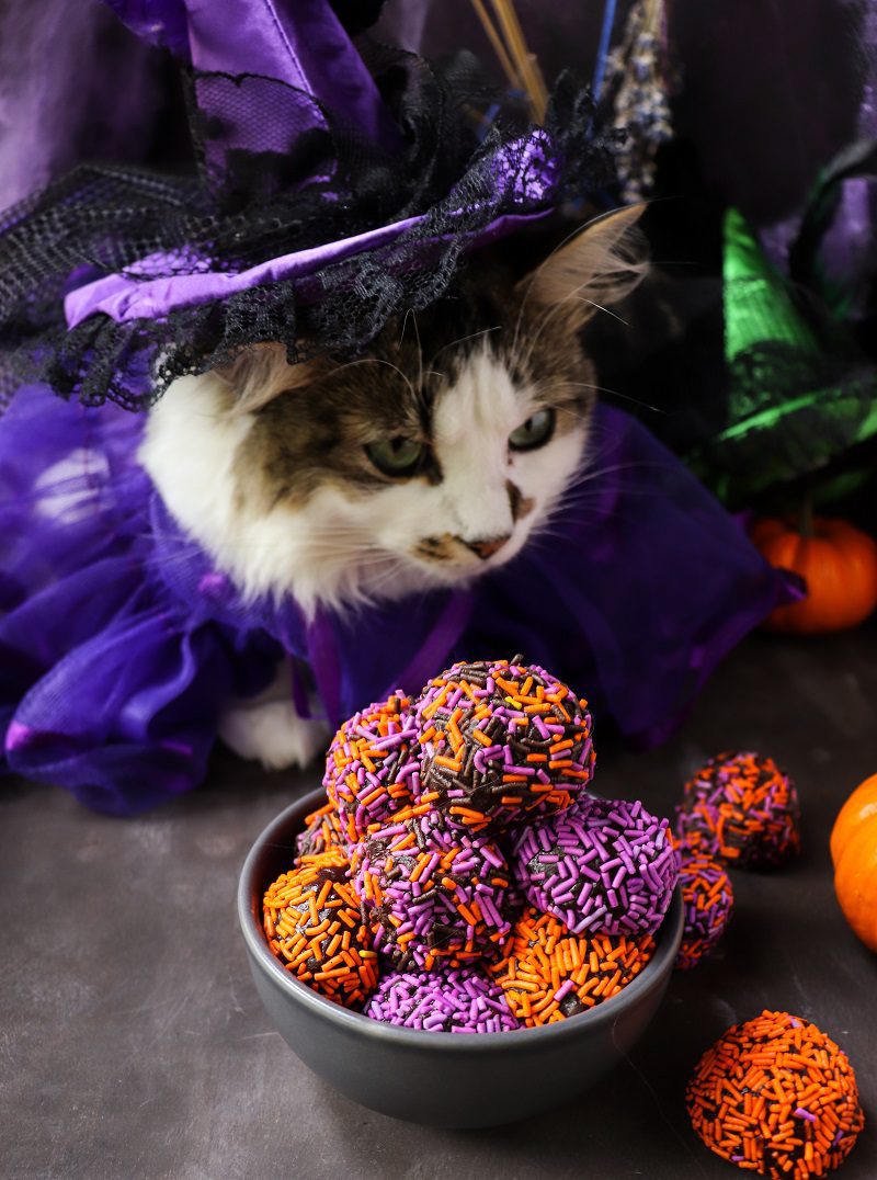 Pumpkin Spice Brigadeiro