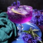 Empress 1908 Gin & Tonic
