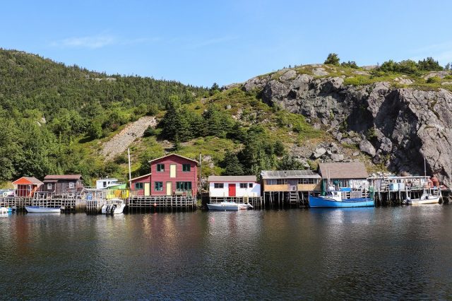 Quidi Vidi