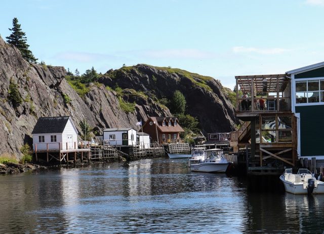 Quidi Vidi