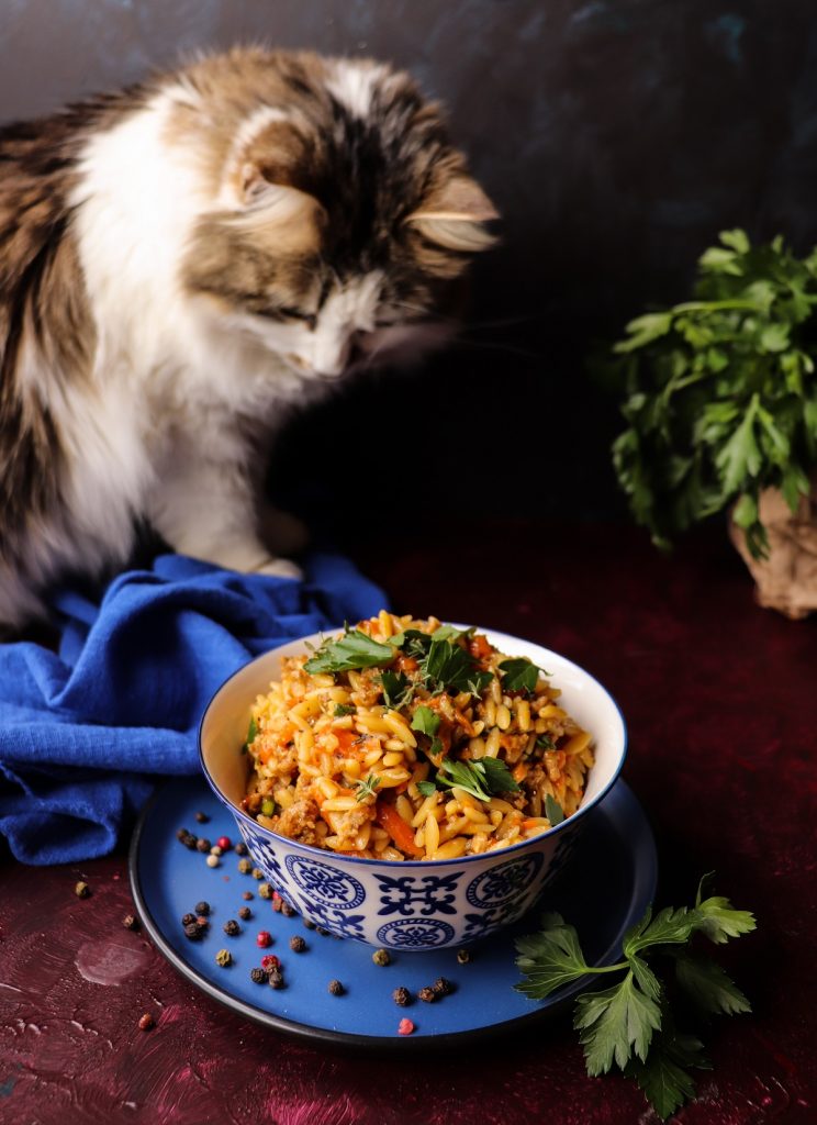 Veal Orzo