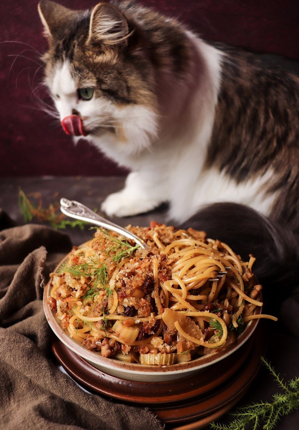 Daisy the cat watching a bowl of Sicilian pasta with sardines and fennel topped with toasted breadcrumbs.