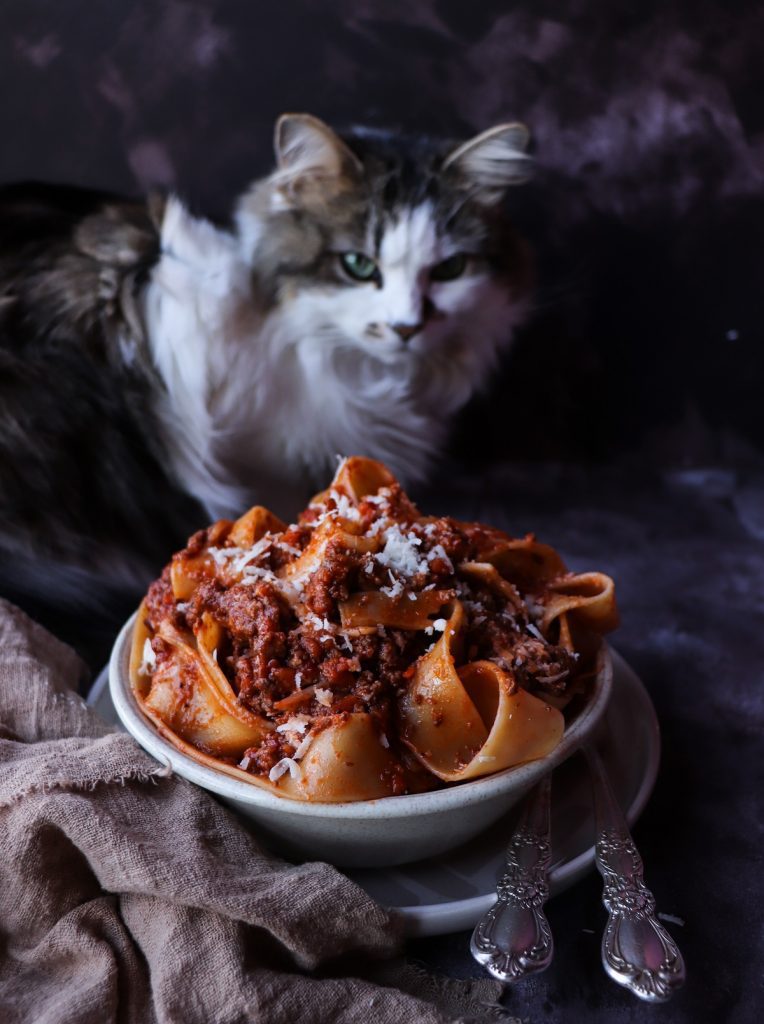 Ragù alla Bolognese  Pasta Ragù Bolognese Sauce