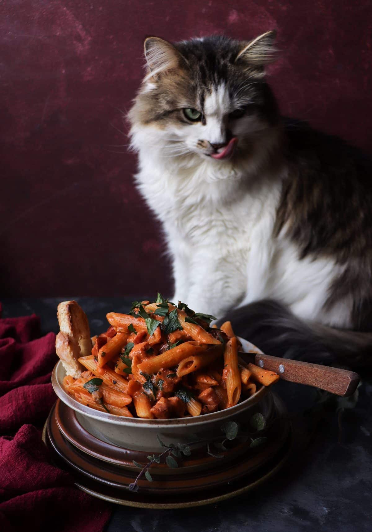 aisy the cat curiously inspecting a bowl of creamy tomato ham pasta, with penne coated in tomato cream sauce and fresh parsley on a dark, moody background.