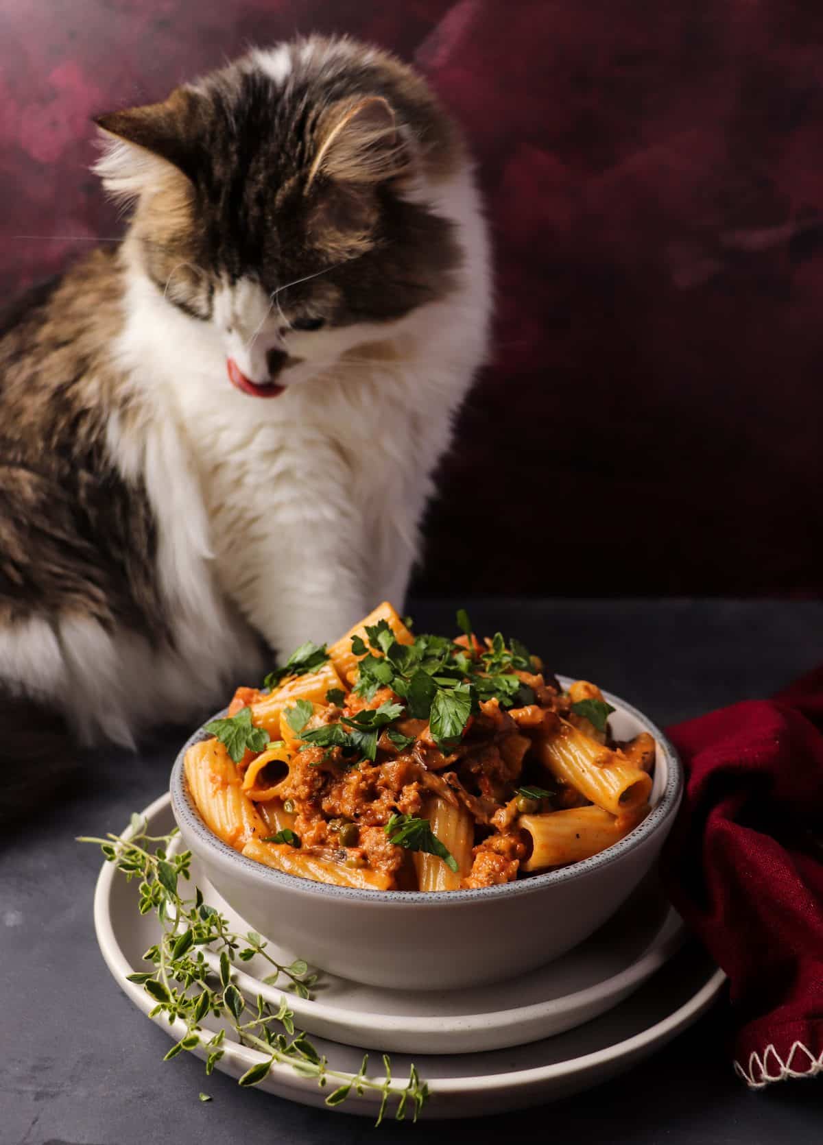 Creamy Bolognese pasta (Pasta alla Pastora) served with rigatoni in a rich cream-enhanced Bolognese sauce with mushrooms, ham, and green peas, photographed with Daisy the cat in the background.