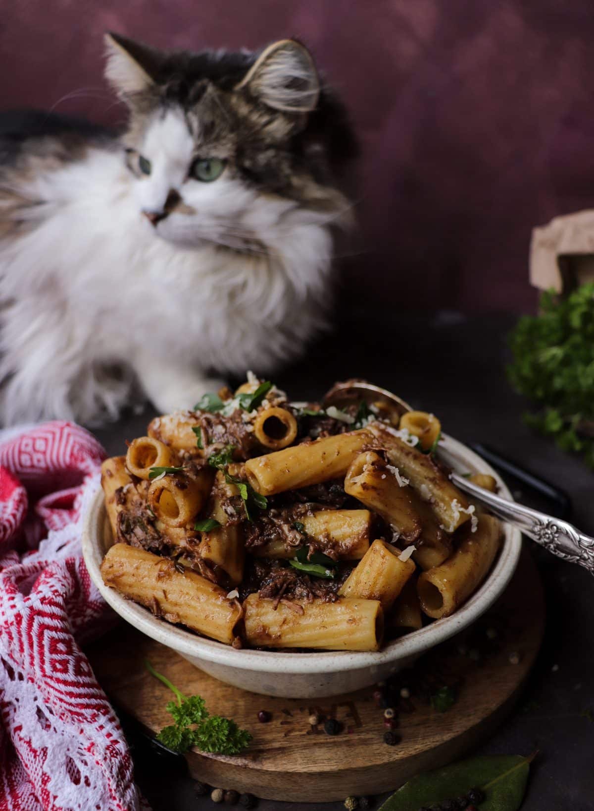 Croatian beef ragù pasta with rigatoni coated in savoury meat sauce.