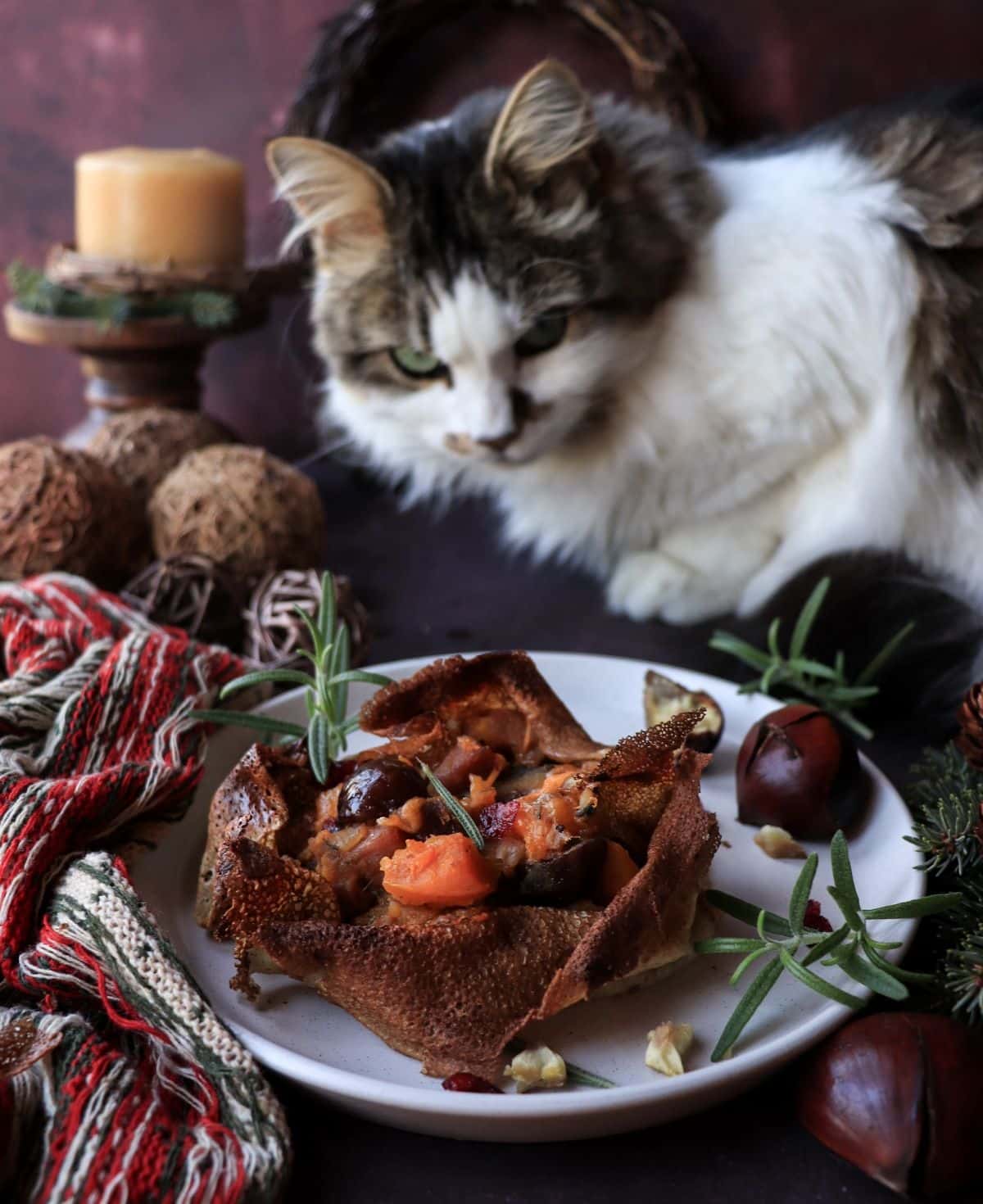 Crepe bowl filled with roasted butternut squash, chestnuts, ham, prosciutto, and cranberries on a plate with rosemary, with a curious cat looking at the dish in the background