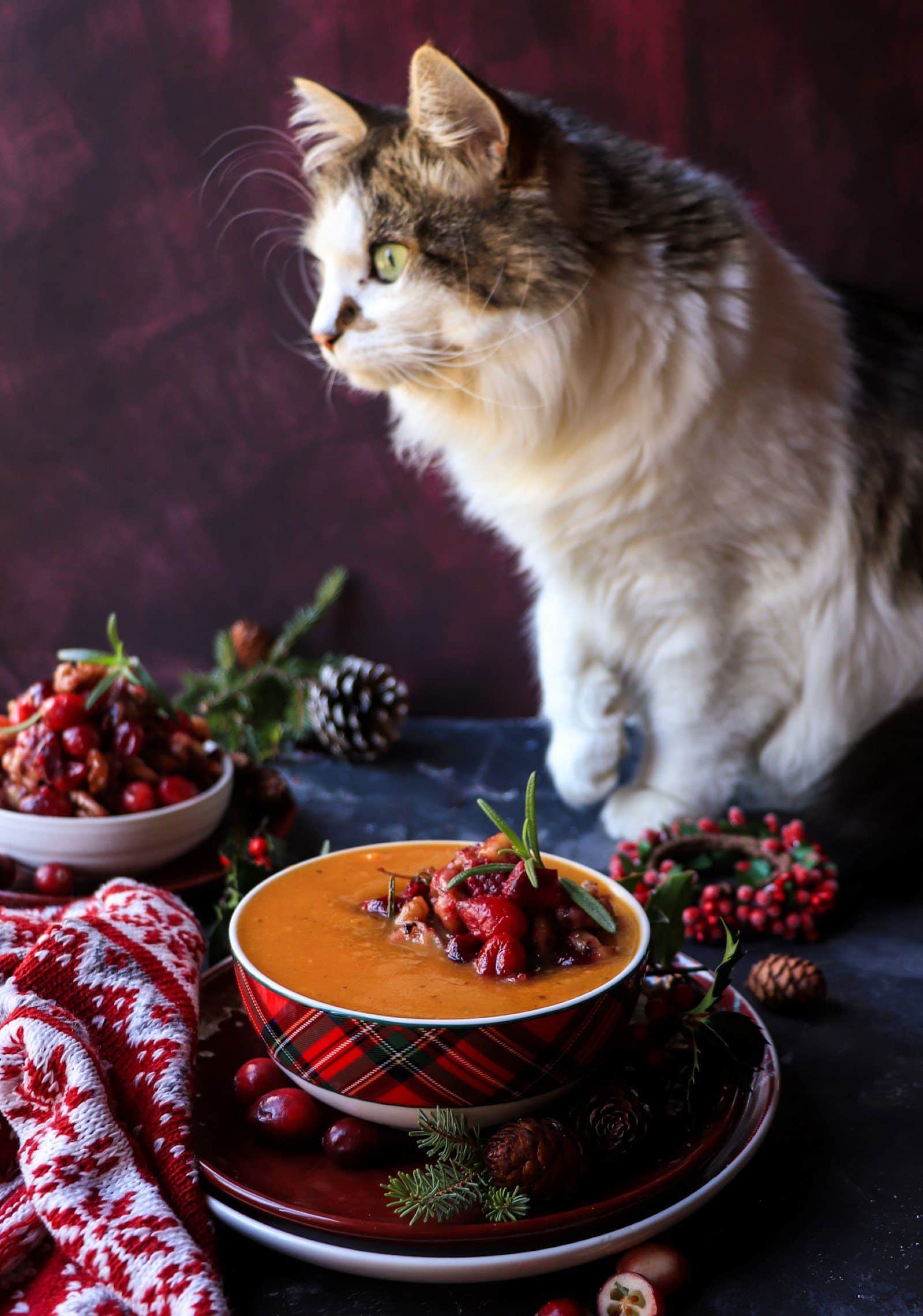 Pumpkin Soup with Cranberry Walnut Relish (Holiday Pumpkin Soup recipe)