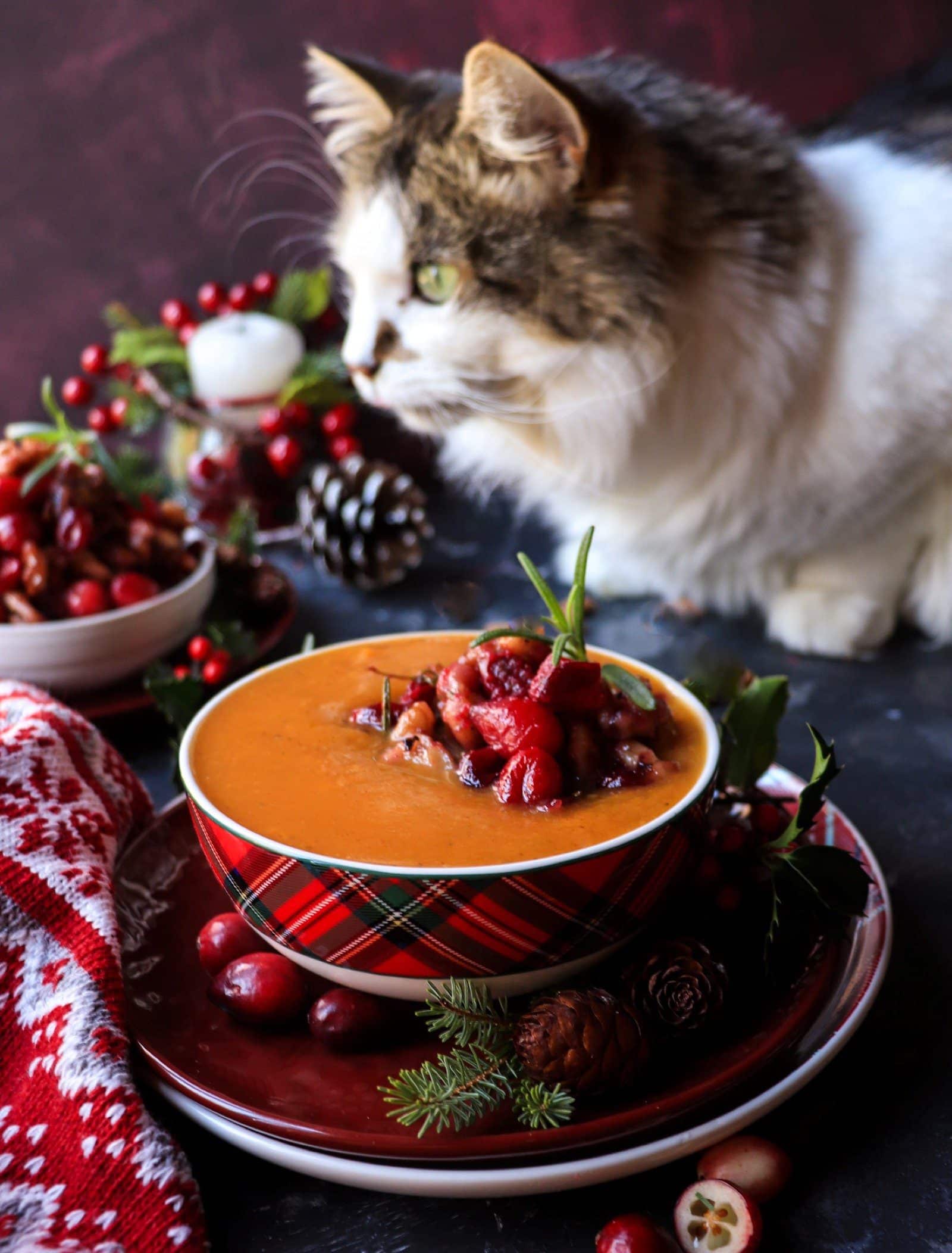 Pumpkin Soup with Cranberry Walnut Relish