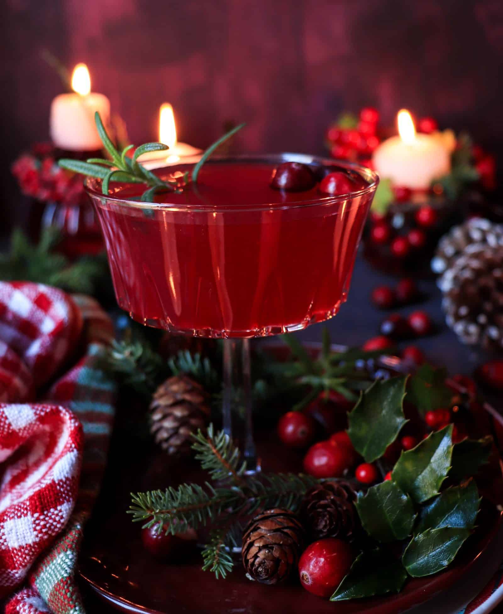 Cranberry Rosemary Cocktail