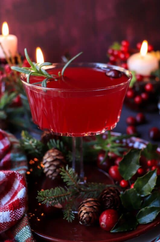 Festive Cranberry and Rosemary Cocktail