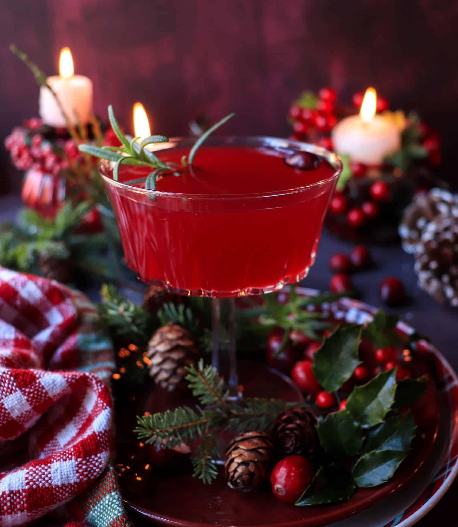 Cranberry Rosemary Cocktail
