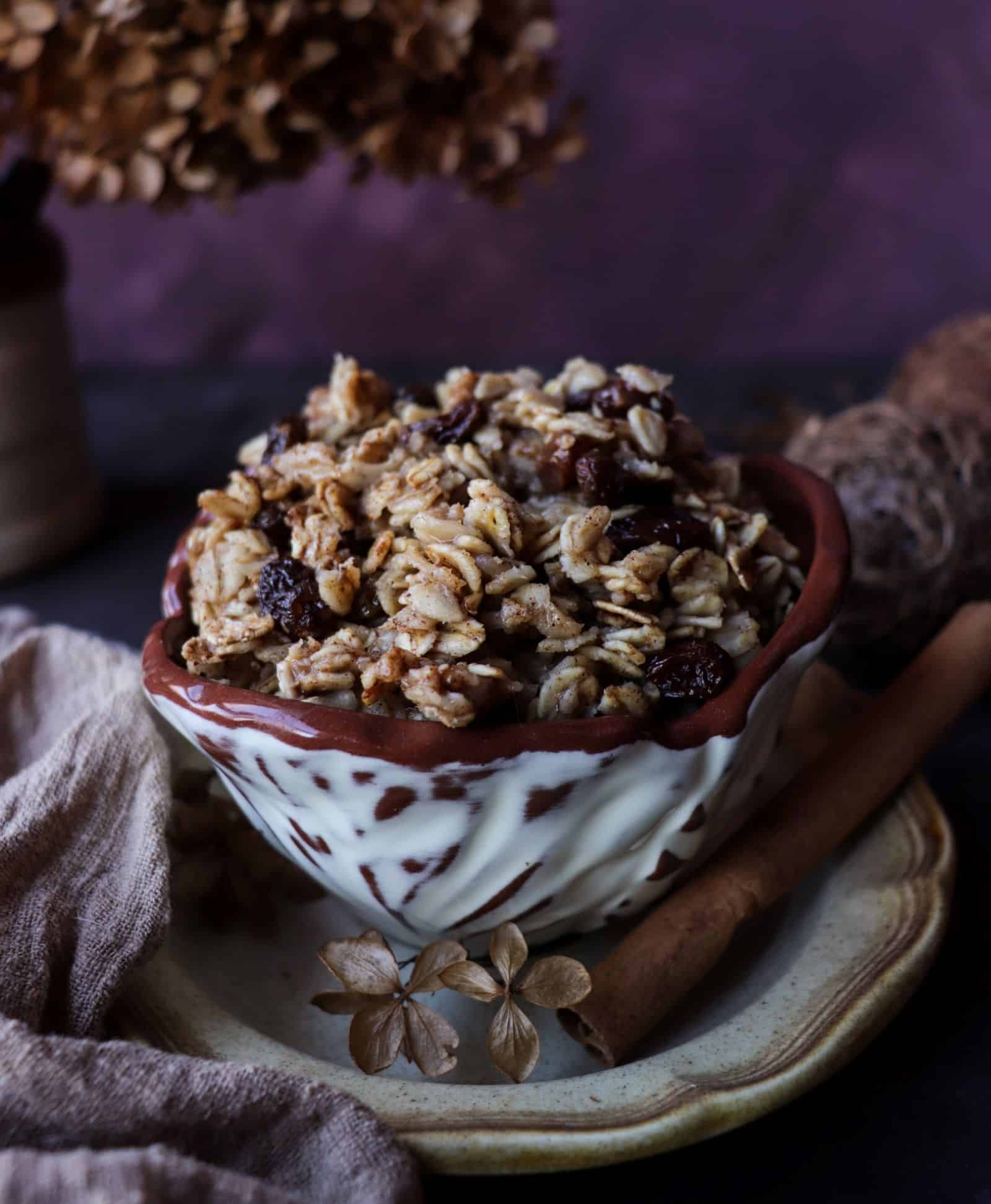 Cinnamon raisin oatmeal served in a ceramic bowl, topped with plump raisins and a cinnamon stick, styled with dried flowers, a linen cloth, and warm, cozy breakfast tones.