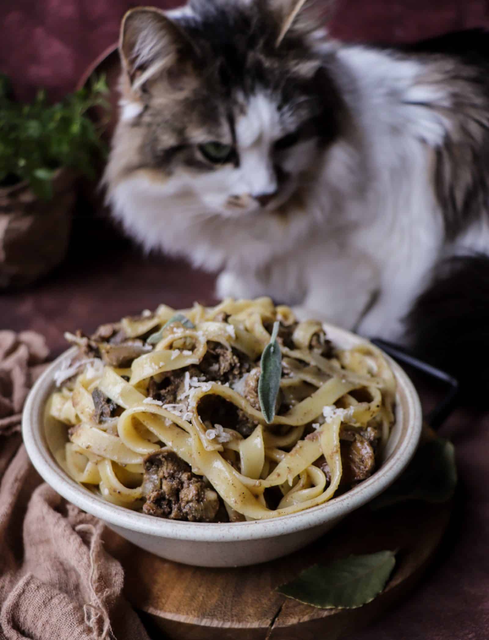 Pasta with Chicken Liver