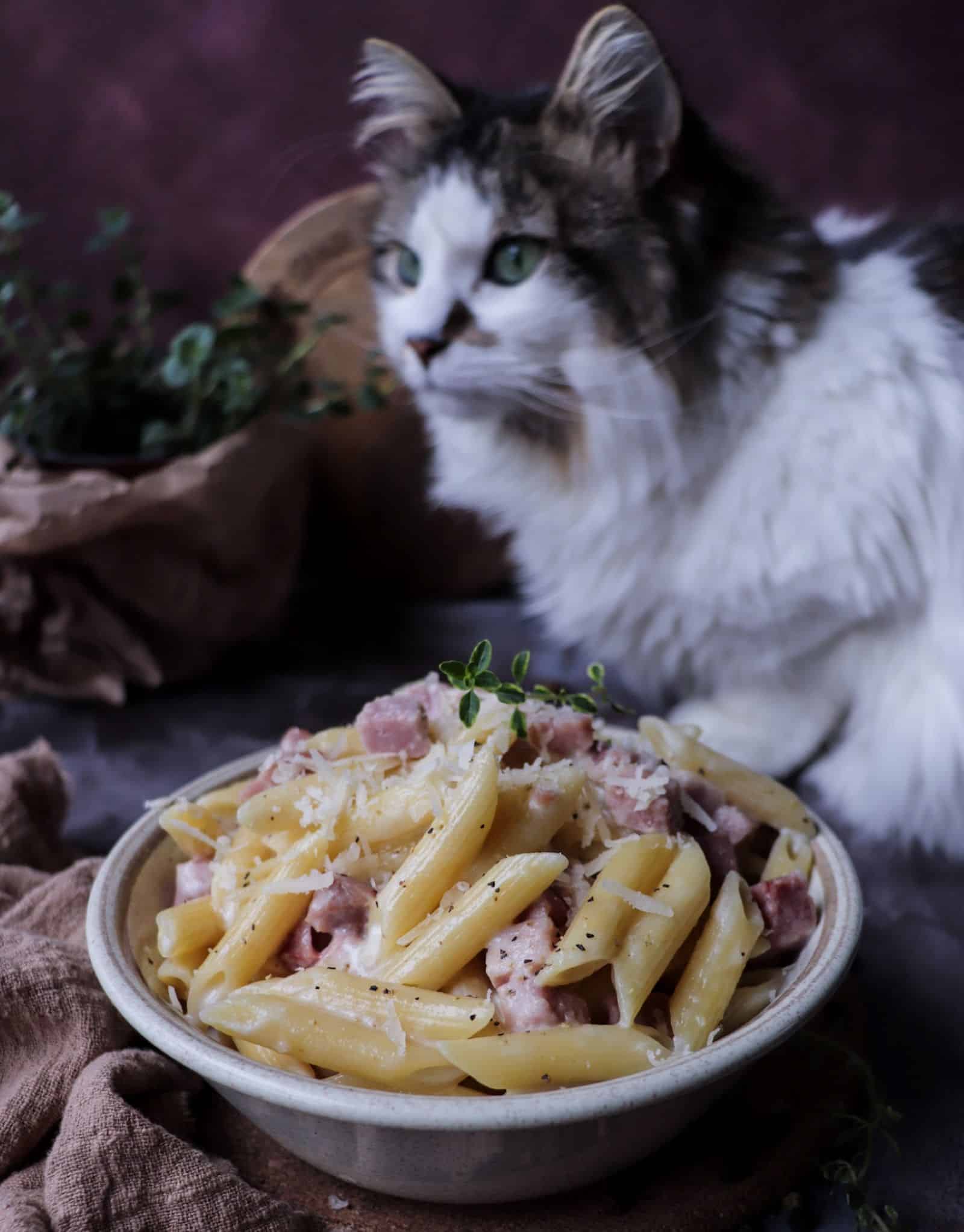 Pasta Alla Valdostana - Creamy Fontina Cheese Pasta