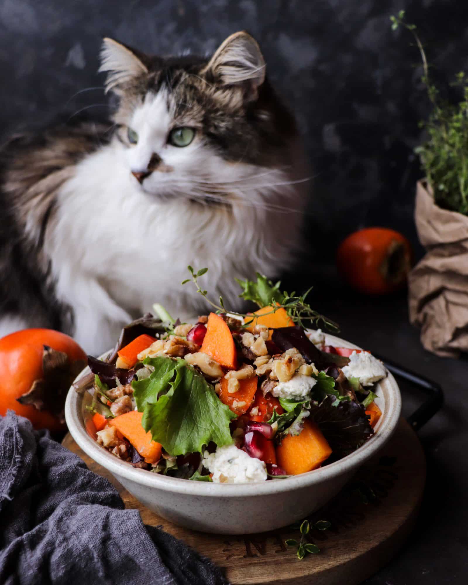 Persimmon Pomegranate Walnut Salad