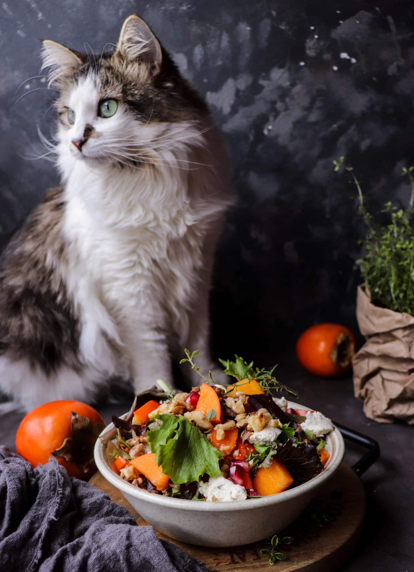 Persimmon Pomegranate Walnut Salad