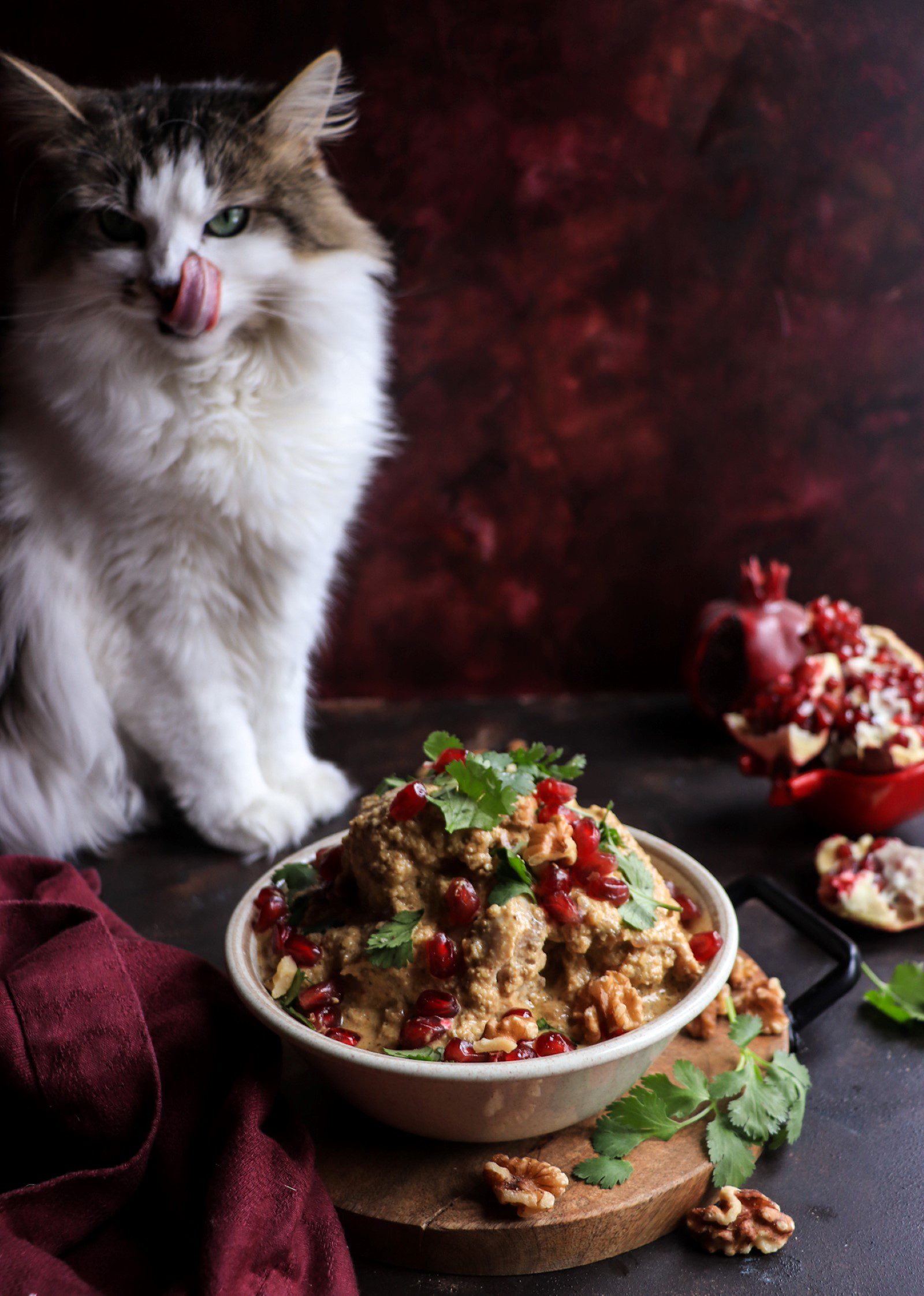 Satsivi - Chicken in Walnut Sause