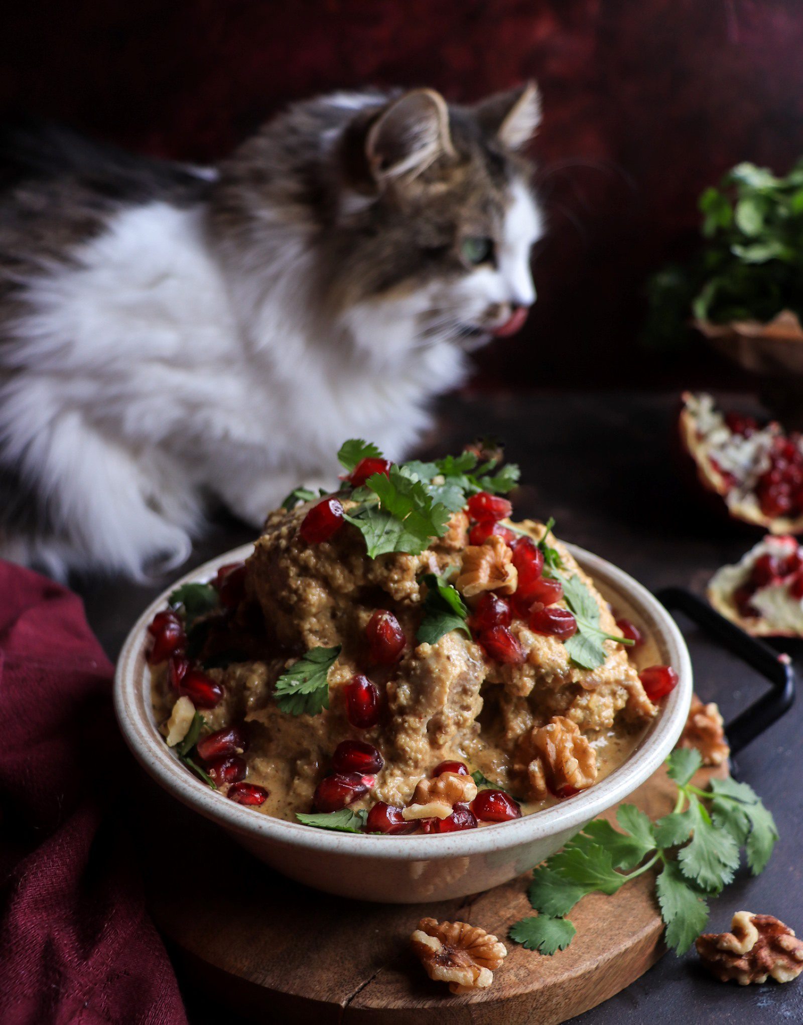 Satsivi - Chicken in Walnut Sause