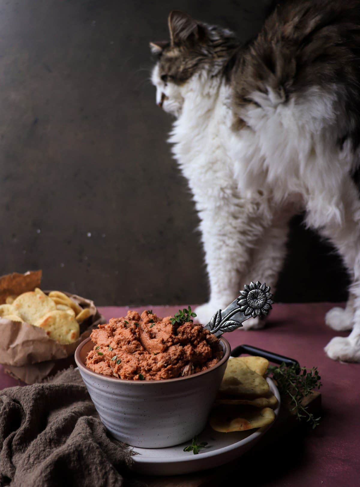 Chipotle Tuna Spread Recipe