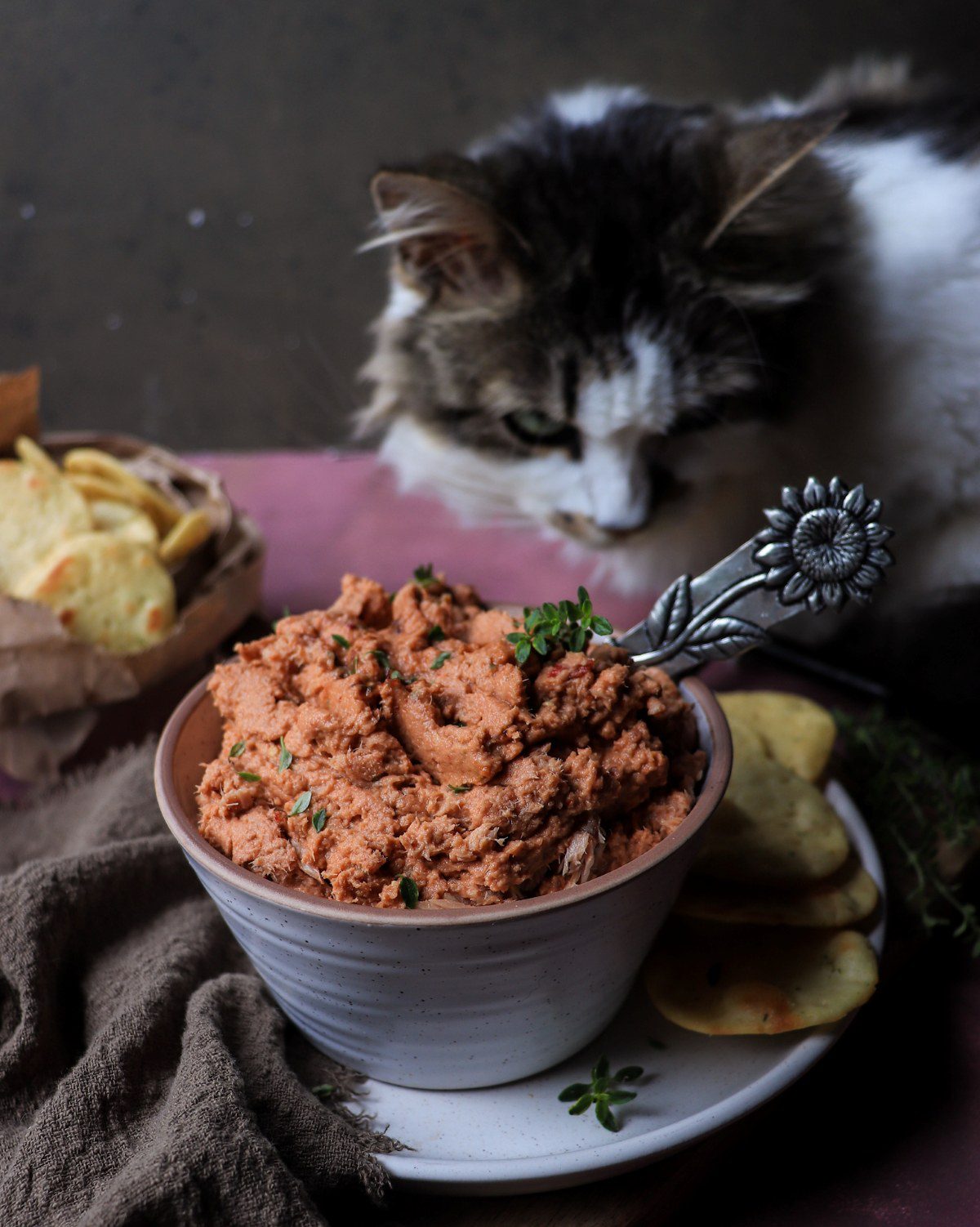 Chipotle Tuna Spread Recipe