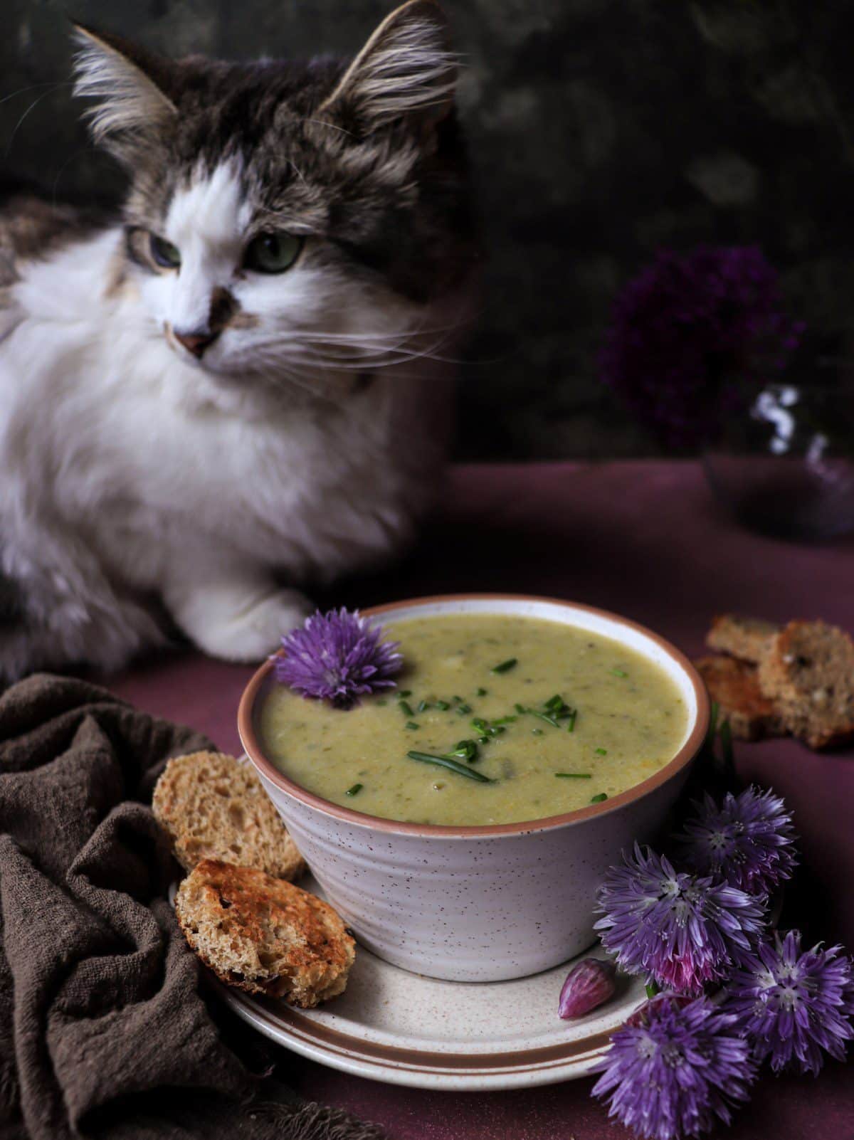 Creamy Chive Cheese Soup garnished with chopped chives, served in a ceramic bowl with toasted bread and a curious cat beside it.