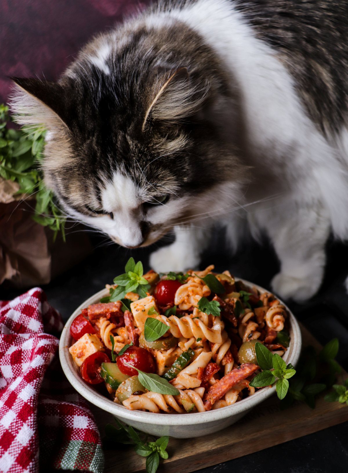 Easy Mediterranean pasta salad with salami, mozzarella, sun-dried tomatoes, and fresh herbs, photographed with a curious cat nearby.