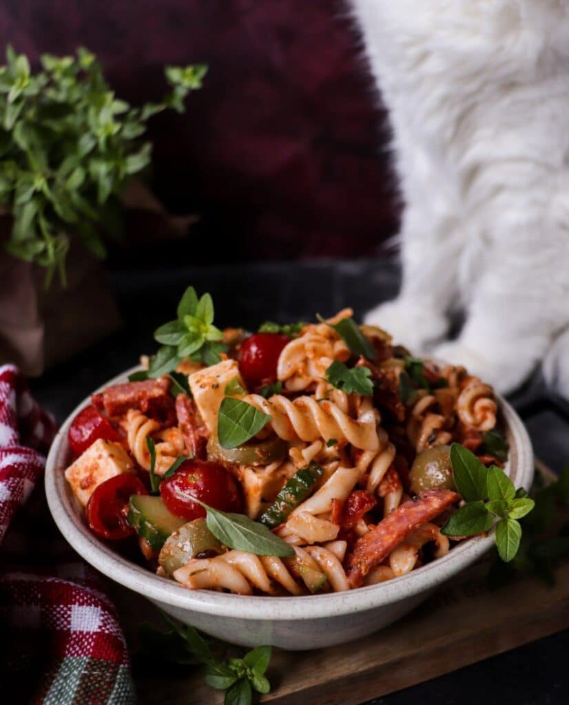Easy Pasta Salad Recipe with Salami, Mozzarella and Sun-Dried Tomatoes