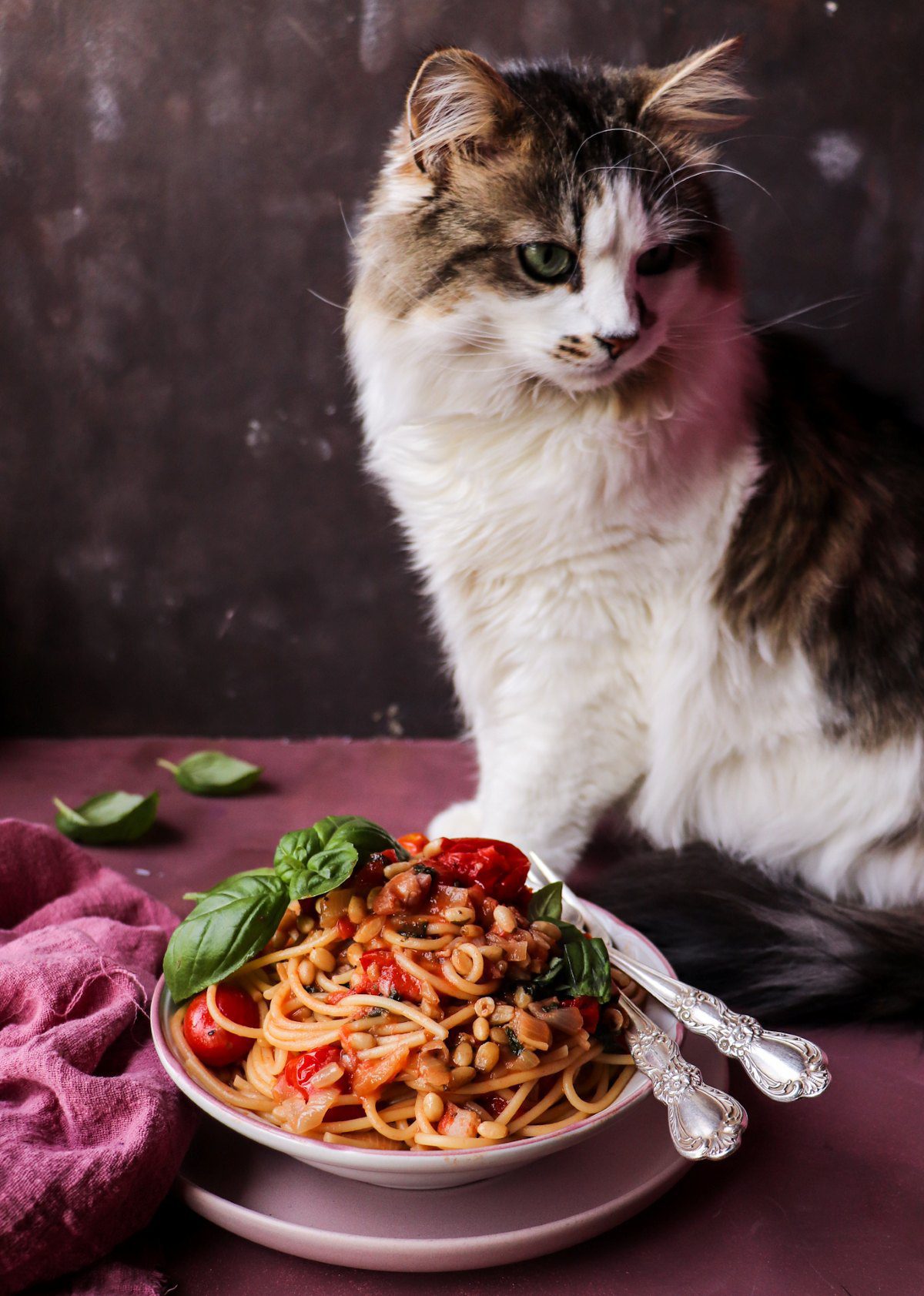 Easy Pancetta Tomato Pasta
