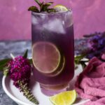 Empress 1908 Gin Mojito