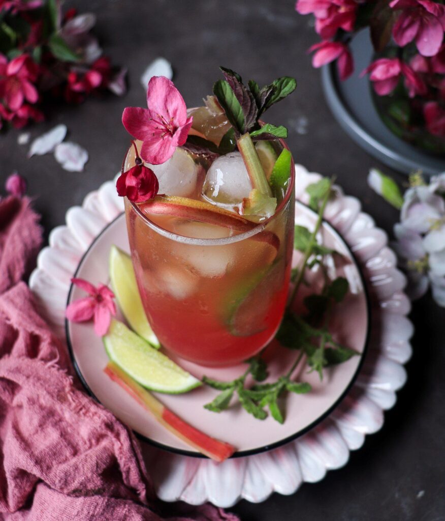 Rhubarb Lemonade Recipe