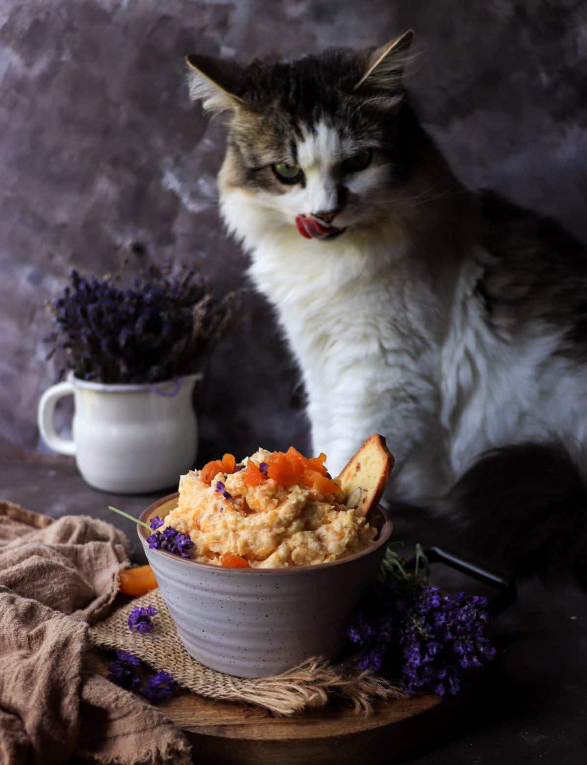 Apricot lavender goat cheese spread topped with dried apricots, with Daisy the cat in the background beside a lavender bouquet.