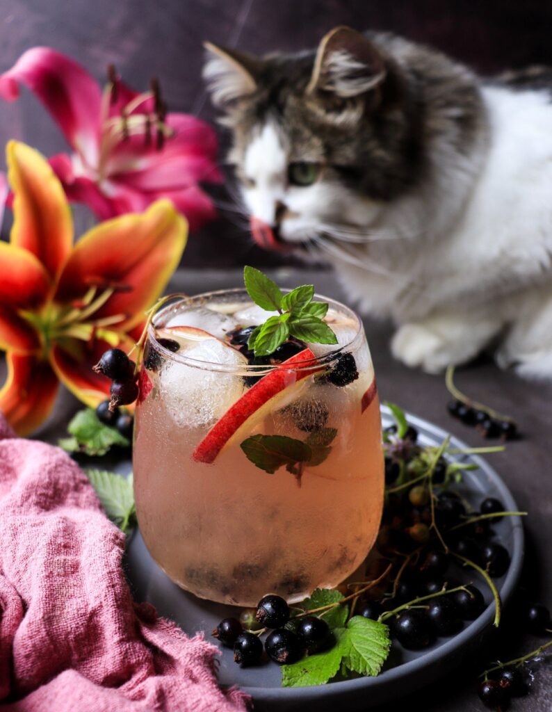 Blackcurrant White Wine Sangria