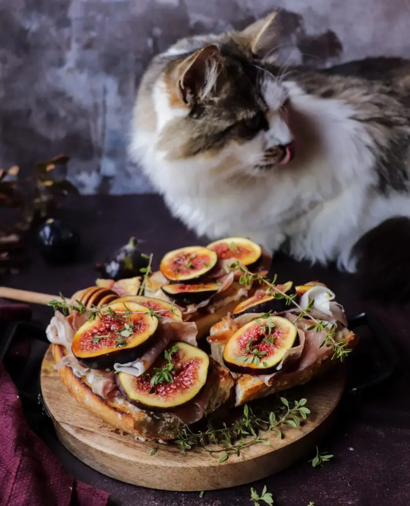 Fig Prosciutto Bruschetta with Goat Cheese, Honey, and Thyme