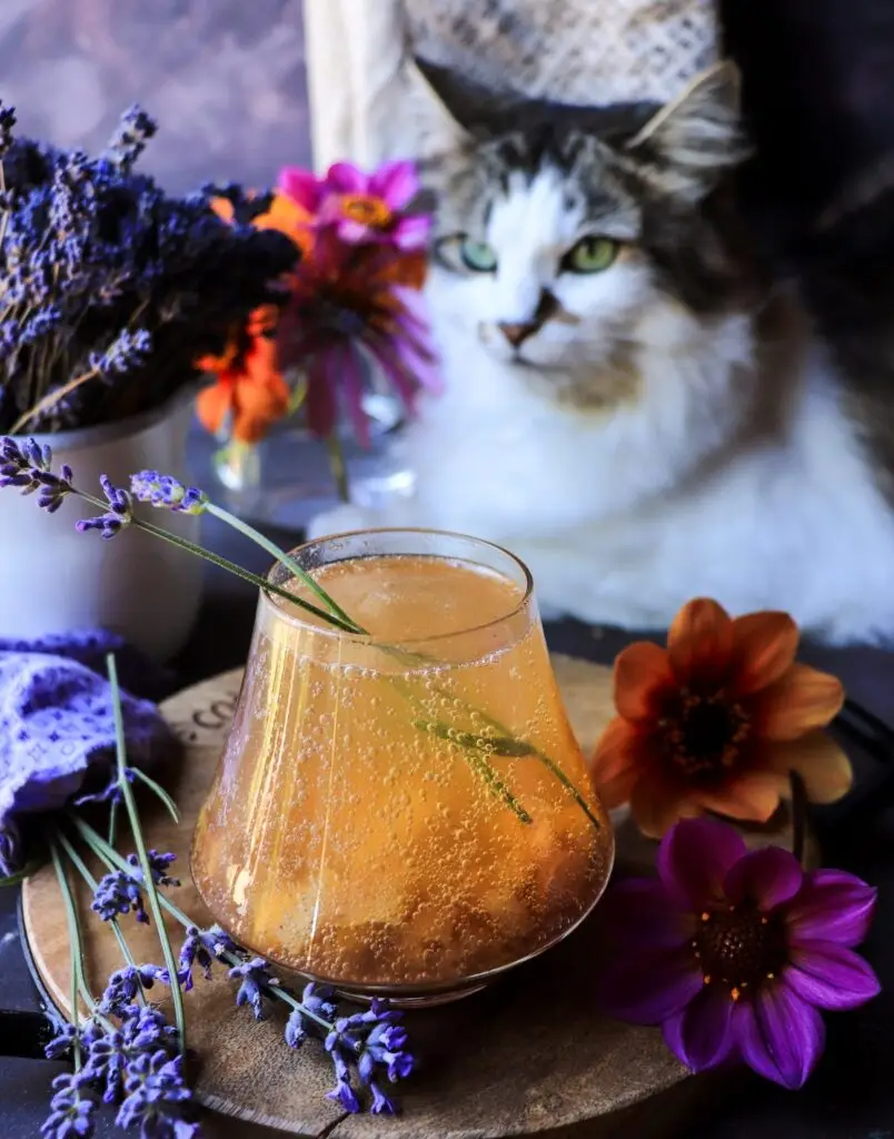 Lavender Pear Cider Cocktail