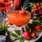 Orange Rosehip Rum Cocktail